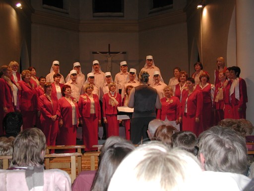 Concert Anneuf 2008